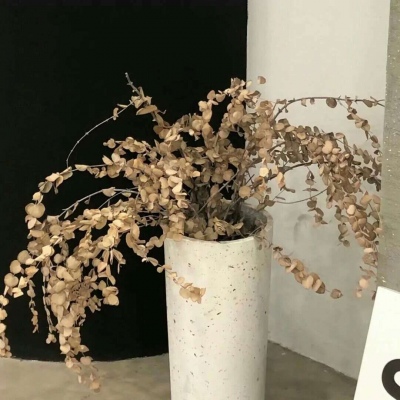 兽设写实风格绘画福瑞交流群